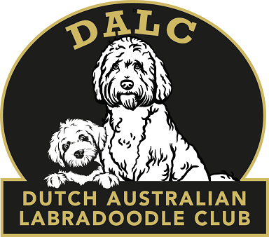 DALC Deutsche Australian Labradoodle CLub